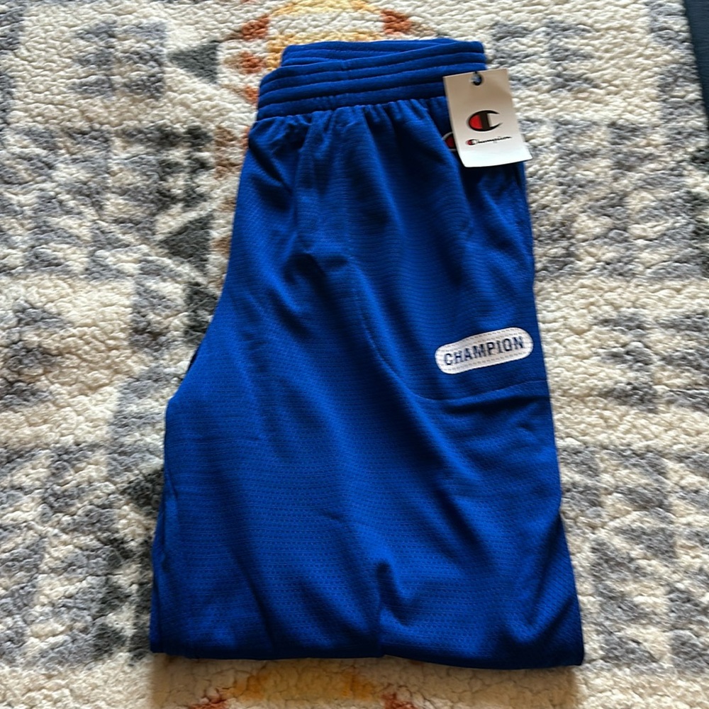Champion Men’s Medium Breeze Pants. Surf The Web Blue.